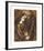 Two Lovers-Dante Gabriel Rossetti-Framed Premium Giclee Print