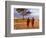 Two Maasai Morans Walking with Spears at Sunset, Amboseli National Park, Kenya-Alison Jones-Framed Photographic Print