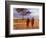 Two Maasai Morans Walking with Spears at Sunset, Amboseli National Park, Kenya-Alison Jones-Framed Photographic Print