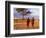 Two Maasai Morans Walking with Spears at Sunset, Amboseli National Park, Kenya-Alison Jones-Framed Photographic Print