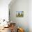 Two Mallard Drakes (Anas Platyrhynchos) and a Duck Approaching on Grass, Wiltshire, England, UK-Nick Upton-Photographic Print displayed on a wall