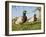 Two Mallard Drakes (Anas Platyrhynchos) and a Duck Approaching on Grass, Wiltshire, England, UK-Nick Upton-Framed Photographic Print