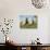 Two Mallard Drakes (Anas Platyrhynchos) and a Duck Approaching on Grass, Wiltshire, England, UK-Nick Upton-Photographic Print displayed on a wall