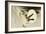 Two Mallard Ducks and the Moon-Koson Ohara-Framed Giclee Print