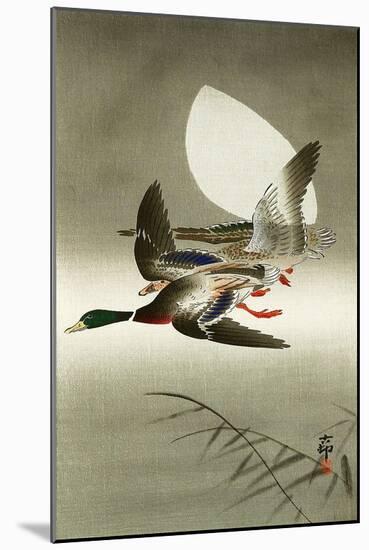 Two Mallards-Koson Ohara-Mounted Giclee Print