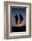 Two Masaai Warriors Silhouetted Performing Traditional Jump - Leap Kopje at Sunset-Nick Garbutt-Framed Photographic Print