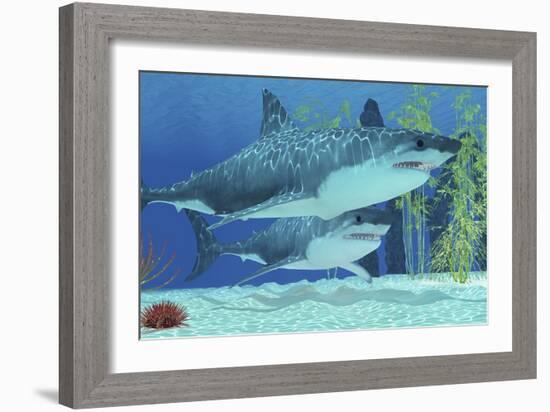 Two Megalodon Sharks from the Cenozoic Era-null-Framed Art Print