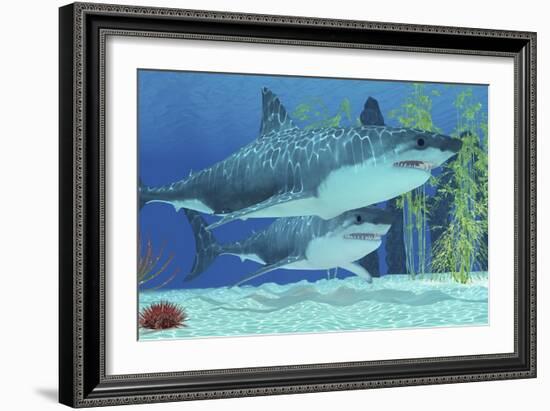 Two Megalodon Sharks from the Cenozoic Era-null-Framed Premium Giclee Print