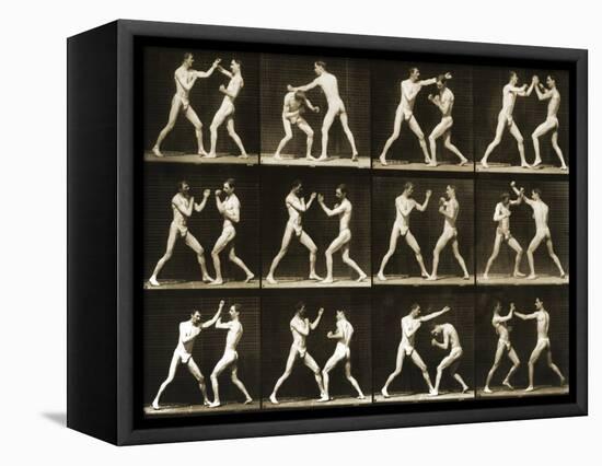 Two Men Boxing, from the 'Animal Locomotion; Series, C.1881-Eadweard Muybridge-Framed Premier Image Canvas