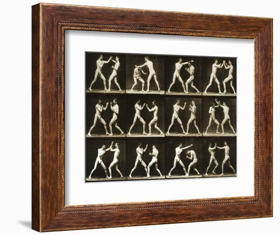 Two Men Boxing, from the 'Animal Locomotion; Series, C.1881-Eadweard Muybridge-Framed Photographic Print