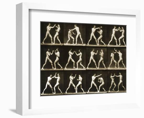 Two Men Boxing, from the 'Animal Locomotion; Series, C.1881-Eadweard Muybridge-Framed Photographic Print