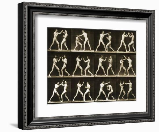 Two Men Boxing, from the 'Animal Locomotion; Series, C.1881-Eadweard Muybridge-Framed Photographic Print