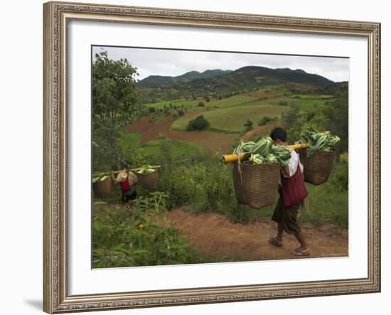 Two Men Carrying Heavy Loads on the Way to Local Market, Shabin Area, Shan State, Myanmar (Burma)-Eitan Simanor-Framed Photographic Print