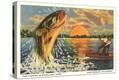 Stretched Canvas Print
