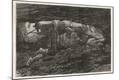 Photographic Print
