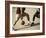 Two Men Playing Basketball-null-Framed Photographic Print