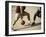 Two Men Playing Basketball-null-Framed Photographic Print