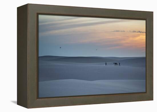 Two Men Walk a Donkey over Dunes at Sunset in Brazil's Lencois Maranhenses National Park-Alex Saberi-Framed Premier Image Canvas