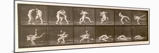 Two Men Wrestling, Plate 347 from 'Animal Locomotion', 1887 (B/W Photo)-Eadweard Muybridge-Mounted Giclee Print