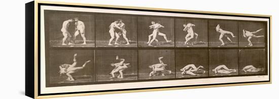 Two Men Wrestling, Plate 347 from 'Animal Locomotion', 1887 (B/W Photo)-Eadweard Muybridge-Framed Premier Image Canvas