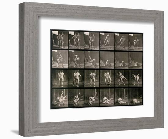 Two Men Wrestling, Plate 348 from Animal Locomotion, 1887-Eadweard Muybridge-Framed Photographic Print