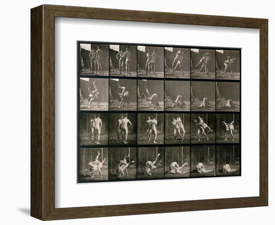 Two Men Wrestling, Plate 348 from Animal Locomotion, 1887-Eadweard Muybridge-Framed Photographic Print