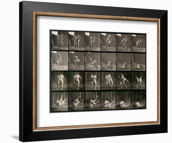 Two Men Wrestling, Plate 348 from Animal Locomotion, 1887-Eadweard Muybridge-Framed Photographic Print