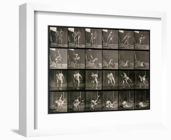 Two Men Wrestling, Plate 348 from Animal Locomotion, 1887-Eadweard Muybridge-Framed Photographic Print