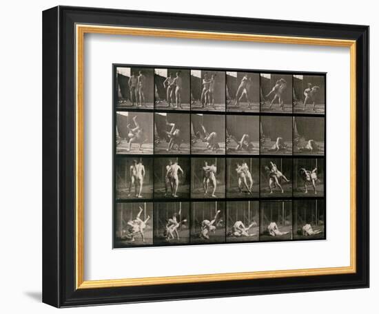 Two Men Wrestling, Plate 348 from Animal Locomotion, 1887-Eadweard Muybridge-Framed Photographic Print