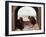 Two Monkeys, 1562-Pieter Bruegel the Elder-Framed Giclee Print