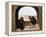 Two Monkeys, 1562-Pieter Bruegel the Elder-Framed Premier Image Canvas