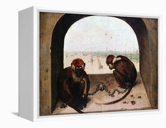 Two Monkeys, 1562-Pieter Bruegel the Elder-Framed Premier Image Canvas