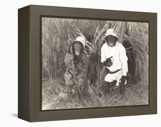 Two Monkeys Dressed in Safari Outfits-null-Framed Stretched Canvas