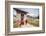 Two Monks Dressed in Traditional Red Access the Punakha Dzong, Punakha-Roberto Moiola-Framed Photographic Print