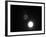 Two Moons-Ryuji Adachi-Framed Photographic Print