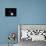 Two Moons-Ryuji Adachi-Mounted Photographic Print displayed on a wall
