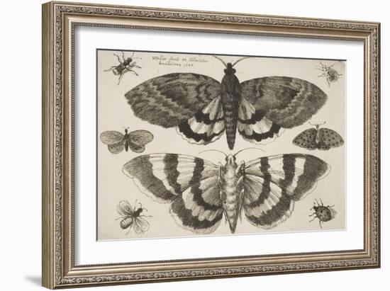 Two Moths and Six Insects-Wenceslaus Hollar-Framed Giclee Print