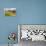 Two Mountain Bikers Riding Through A Flower-Picked Alpine Meadow In Austria-Axel Brunst-Framed Premier Image Canvas displayed on a wall