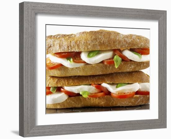 Two Mozzarella and Tomato Baguettes-Paul Williams-Framed Photographic Print