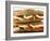 Two Mozzarella and Tomato Baguettes-Paul Williams-Framed Photographic Print