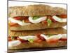 Two Mozzarella and Tomato Baguettes-Paul Williams-Mounted Photographic Print