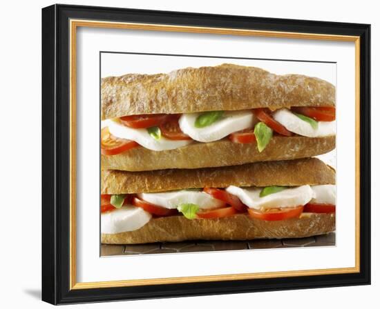 Two Mozzarella and Tomato Baguettes-Paul Williams-Framed Photographic Print