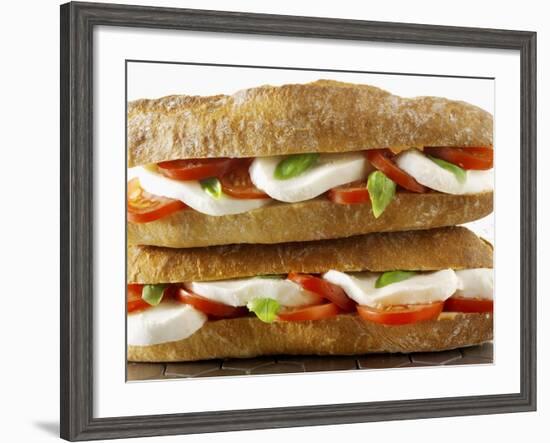 Two Mozzarella and Tomato Baguettes-Paul Williams-Framed Photographic Print