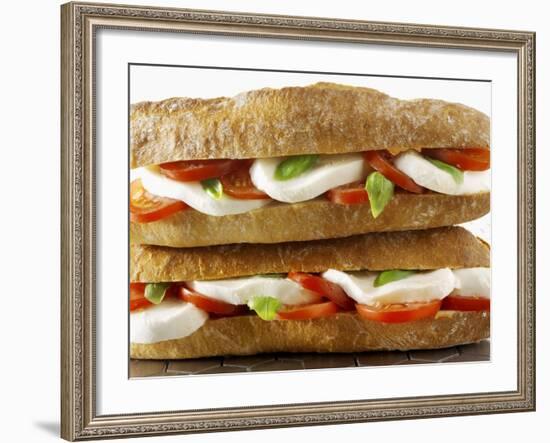 Two Mozzarella and Tomato Baguettes-Paul Williams-Framed Photographic Print