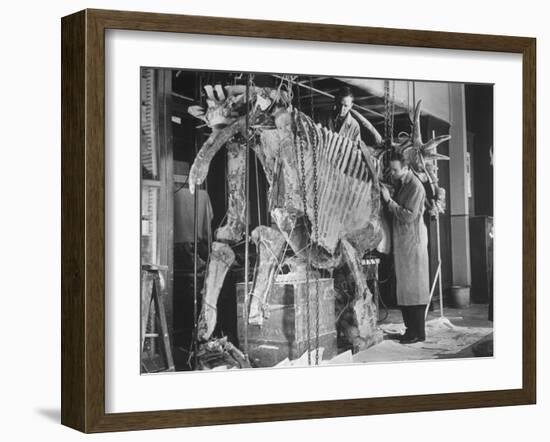 Two Museum Paleontologists Assembling Complete Styracosaurus, American Museum of Natural History-Margaret Bourke-White-Framed Photographic Print
