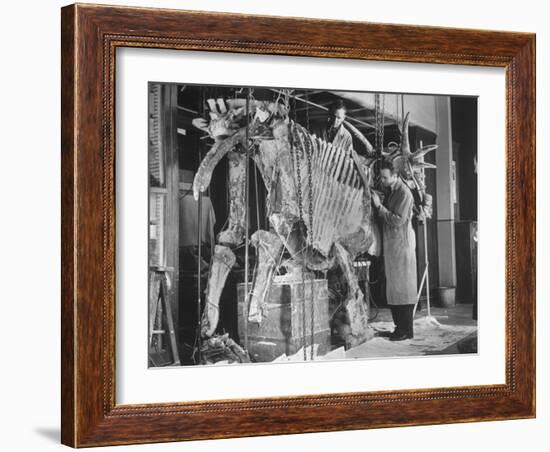 Two Museum Paleontologists Assembling Complete Styracosaurus, American Museum of Natural History-Margaret Bourke-White-Framed Photographic Print