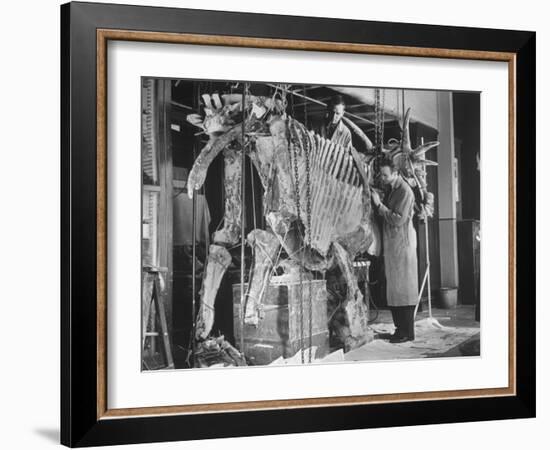Two Museum Paleontologists Assembling Complete Styracosaurus, American Museum of Natural History-Margaret Bourke-White-Framed Photographic Print