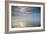 Two Mute Swans, Cygnus Olor, Floating On A Lake In Richmond Park At Sunrise-Alex Saberi-Framed Photographic Print