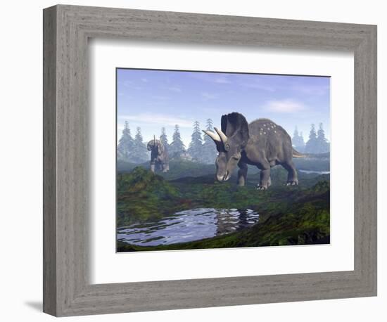 Two Nedoceratops Dinosaurs Walking to Water Puddle in the Morning Light-null-Framed Premium Giclee Print