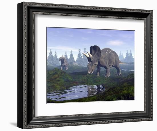 Two Nedoceratops Dinosaurs Walking to Water Puddle in the Morning Light-null-Framed Premium Giclee Print